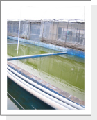The indoor stock ponds