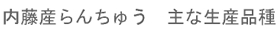 �����Y��񂿂イ�@��Ȑ��Y�i��