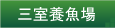 �O���{����